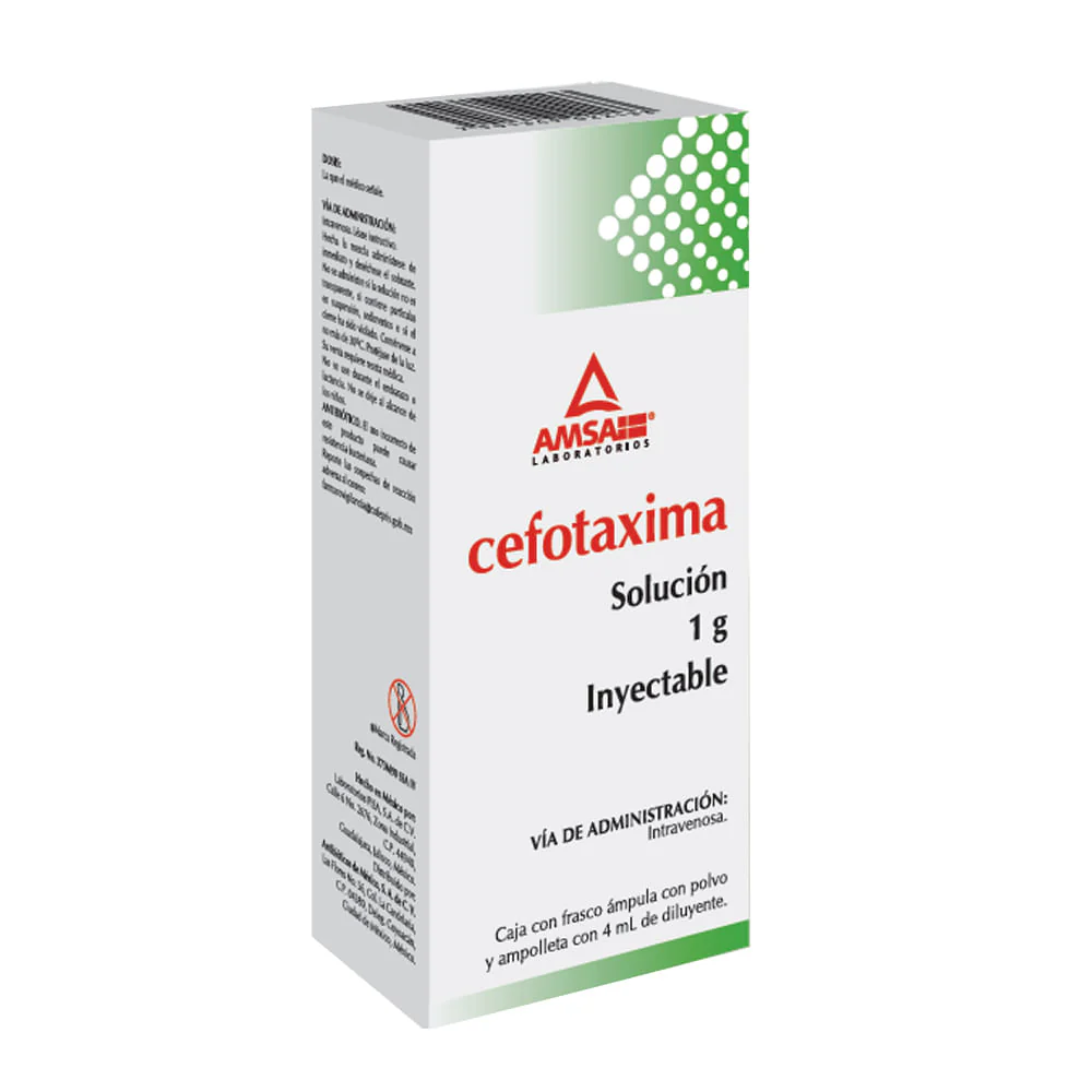 Ams Cefotaxima 1 Gr Iv Fa 4 Ml